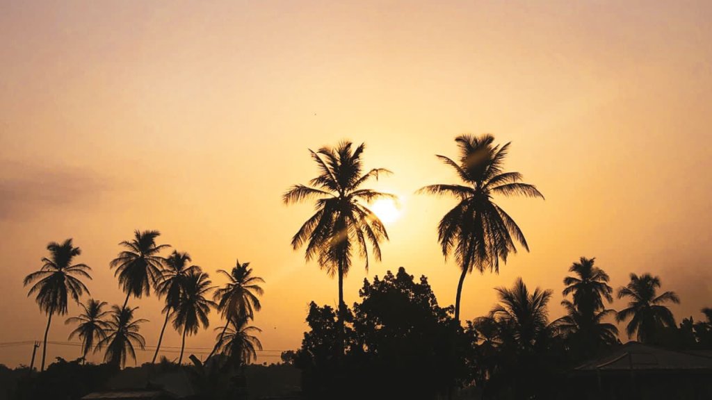 UNTIL THE MORNING&nbsp;COMES