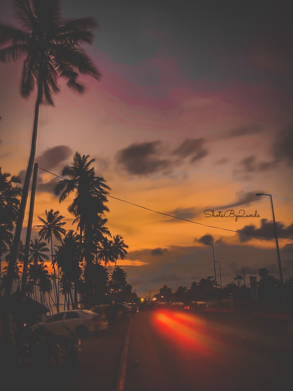 Life’s Tapestry: Recent Threads and&nbsp;Snapshots