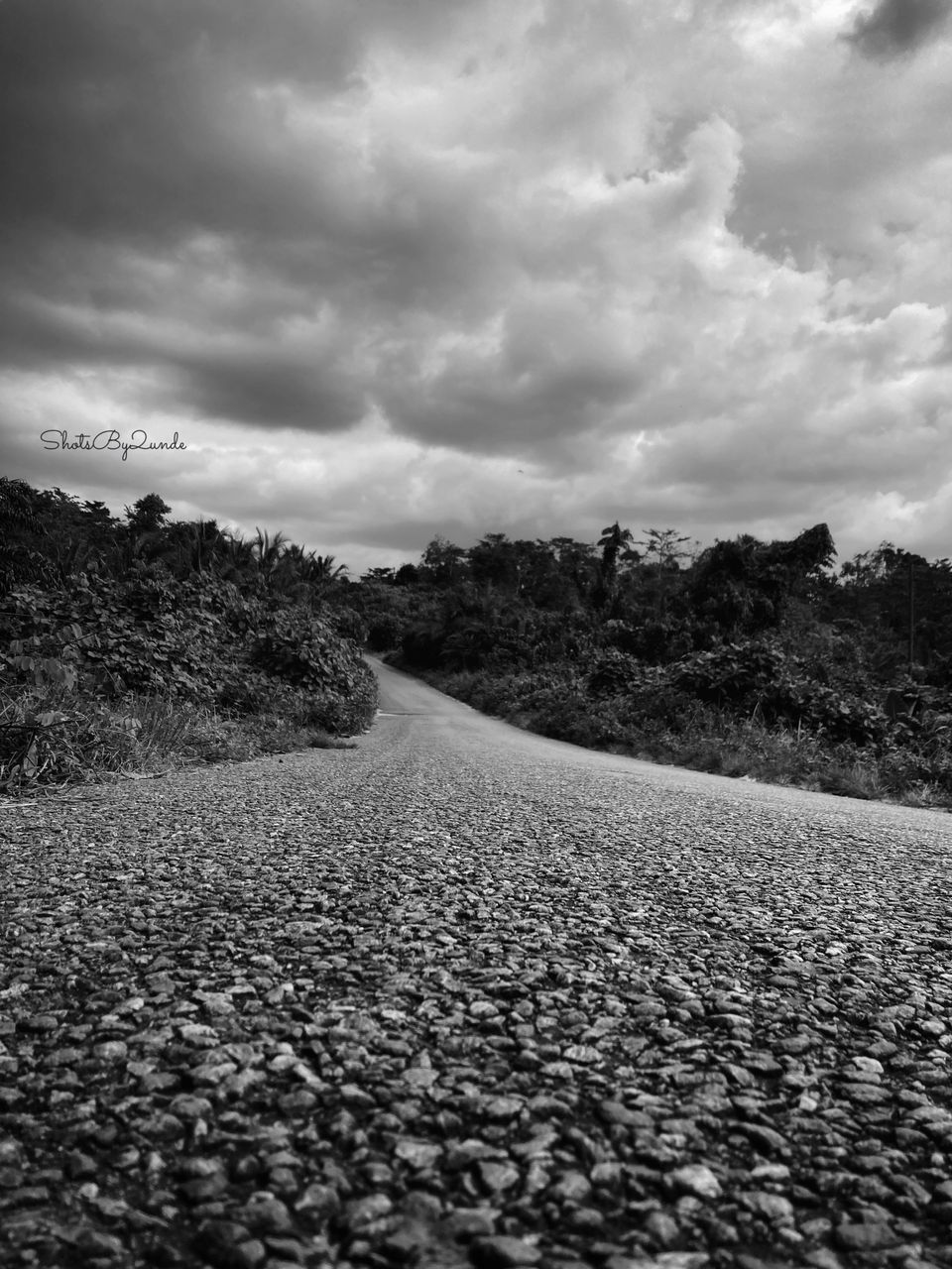 The Quarter-Life Conundrum