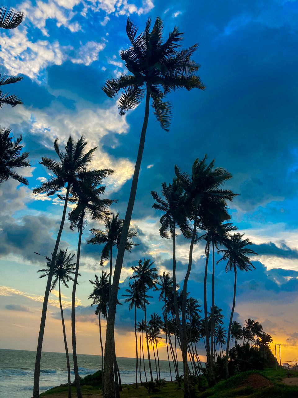 If 2024 Were My Last Year: A Journey of Intentional&nbsp;Living