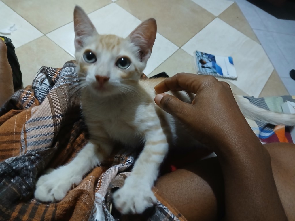 The Colour of&nbsp;Grief